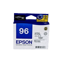 Genuine Epson 96 Light Black Ink Cartridge