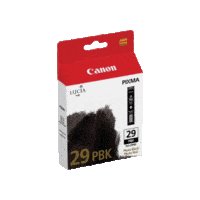 Genuine Canon PGI-29 Photo Black Ink Cartridge. Page Yield 111 pages